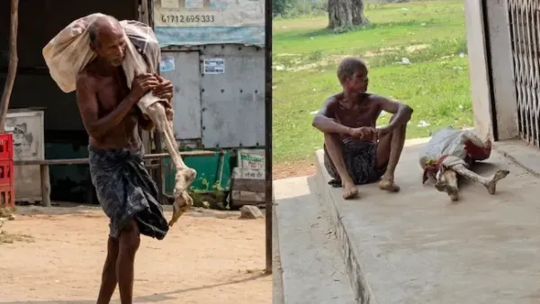 సాక్ష్యాల కోసం సమాధులే తవ్వాలా?