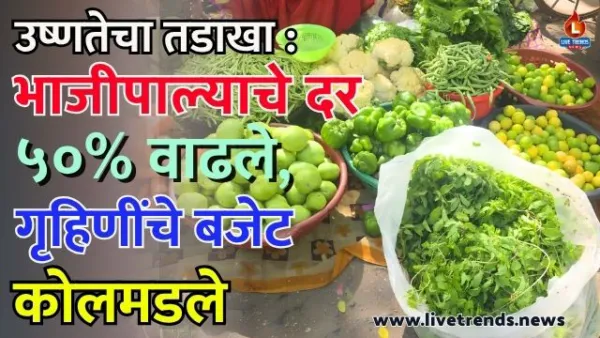 जळगावात उष्णतेचा तडाखा : भाजीपाल्याचे दर ५०% वाढले, गृहिणींचे बजेट कोलमडले