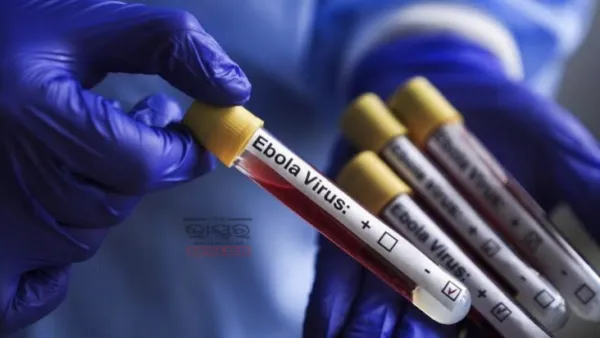 Gujarat Quarantines 4 Over Suspected Ebola Risk After Africa Travel; No Confirmed Case Yet
