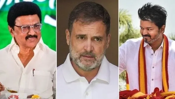ವಿಜಯ್ ಕೈನಲ್ಲಿ ಸ್ಪಷ್ಟ ಬಹುಮತ ಸಾಬೀತುಪಡಿಸಲು ಆಗುತ್ತಿಲ್ಲ, ತಮಿಳುನಾಡಿನಲ್ಲಿ ಮರುಚುನಾವಣೆ ಮಾಡಿ ಎಂದ ಶ್ರೀಧರ್ ವೆಂಬು