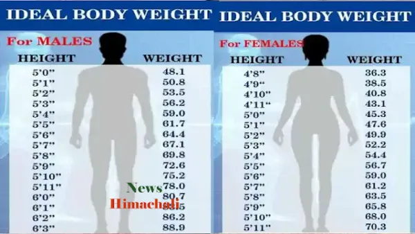 लंबाई के अनुसार शरीर का वजन कितना होना चाहिए, "जरुर देखें लिस्ट...