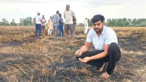 Wheat Crop Burned: आग लगने से तीन एकड़ गेहूं की फसल जली, किसानों व फायर ब्रिगेड ने पाया काबू