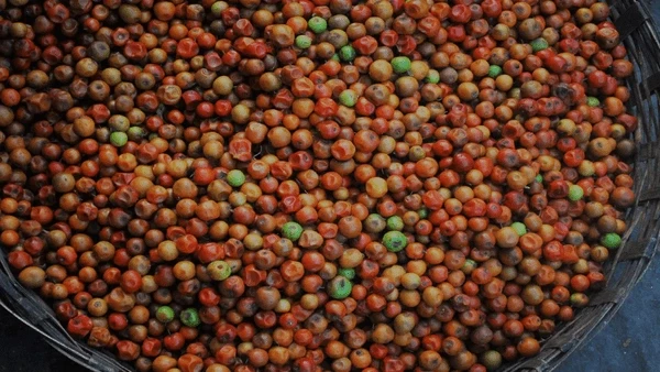 Karimnagar: రేగు పండ్ల కోసం వెళ్లి బావిలో పడి బాలుడు మృతి