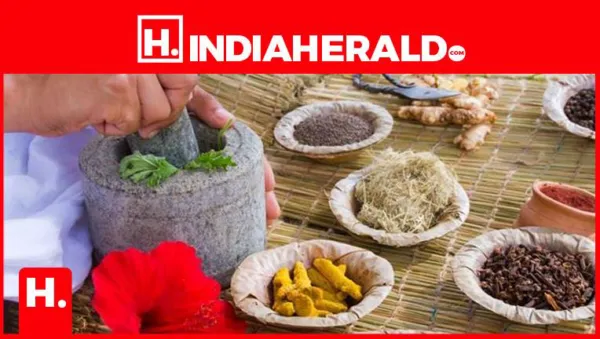 రోగనిరోధక శక్తి పెంచుకోవాలంటే ఏం చేయాలి..