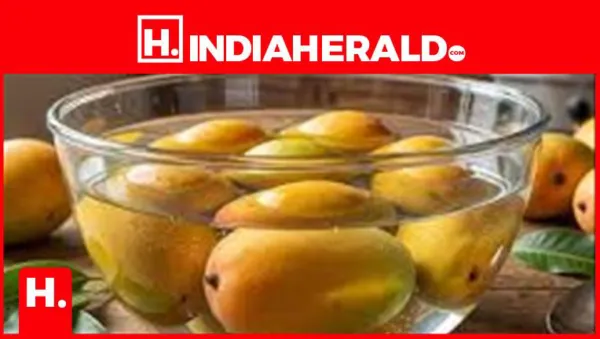 మామిడి పండ్లు ఎక్కువగా తింటే లాభమా? నష్టమా? ఈ విషయాలను మీరు తెలుసుకోండి!