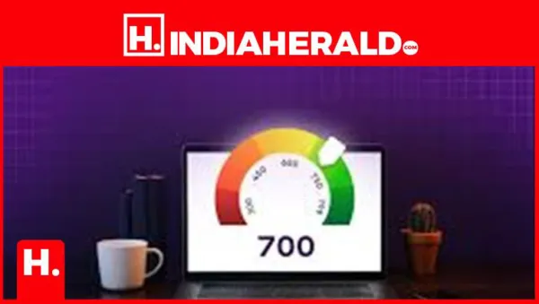 Is Your CIBIL Score Above 800? Are You a "VIP" for Banks? Discover the Truth