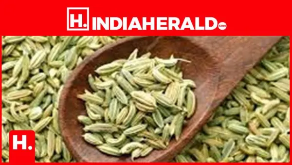 Fennel Water or Saunf Ka Pani Has Numerous Health Benefits, Know How