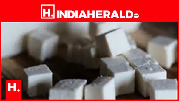 Is Your Paneer Real or Fake? 6 Easy Ways to Check at Home