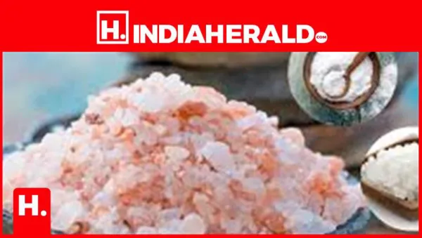Pink Salt, Sea Salt, Celtic Salt: Are They Really Beneficial or Just Fancy Names?