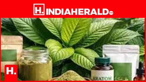 Best Kratom Vendors for Gummies (Taste-Tested & Lab-Verified Picks)