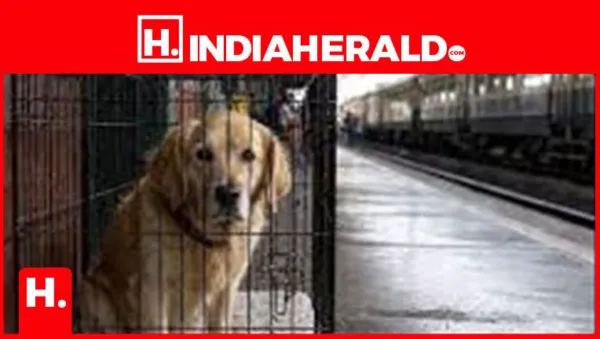 Vande Bharat News: Can You Travel With Your Dog by Train? Here's the Latest Update