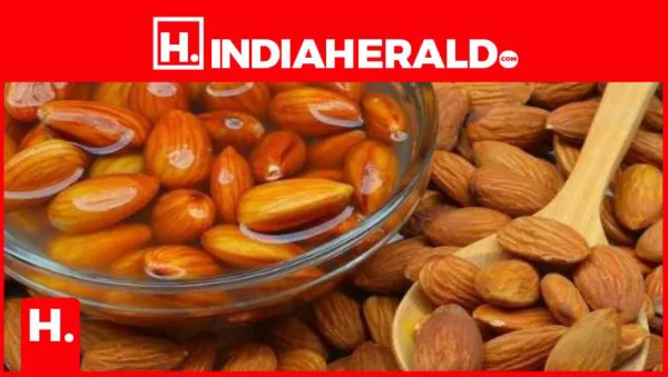 బాదం తినడం వల్ల కలిగే ప్రయోజనాలివే.. ఈ షాకింగ్ విషయాలు తెలుసుకోండి!