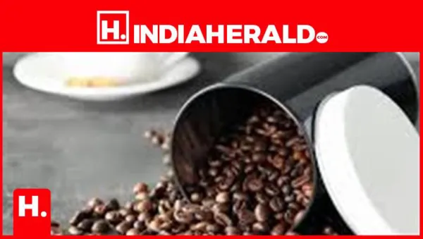 Essential Tips for Keeping Your Coffee Fresh and Flavorful