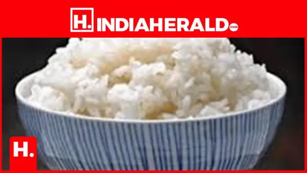 6 Types of Rice You Must Know About and How to Cook Them