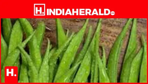 10 Amazing Health Benefits of Cluster Beans