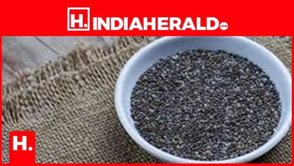 6 Amazing Benefits of Eating Chia Seeds in Winter for Glowing Skin