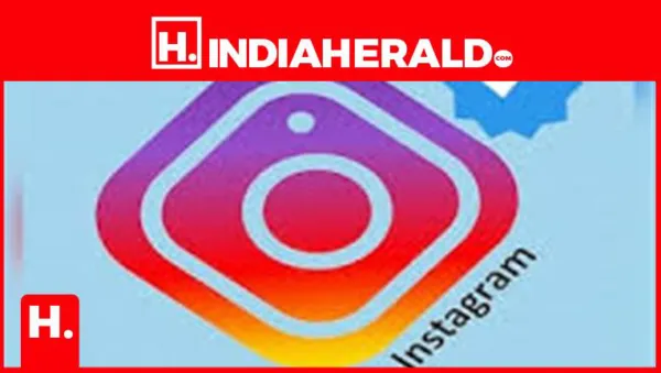 How to get the Instagram Blue Tick verified badge