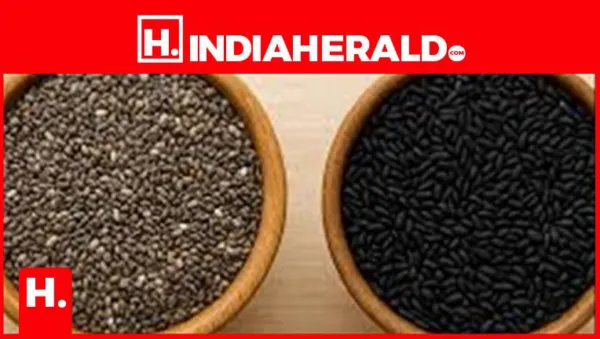 Sabja Seeds vs Chia Seeds: Which One Is More Cooling in Summer?