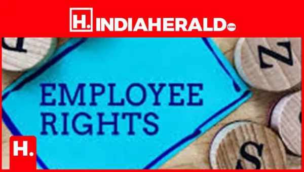 Alert for Private Sector Employees: You Must Know These 12 Rights in India