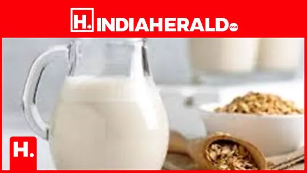 Can You Drink Oat Milk If You Have Diabetes?