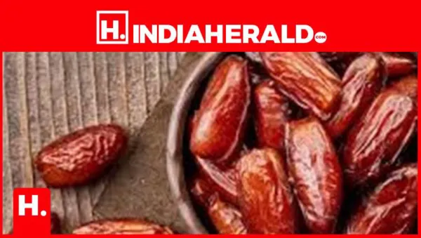 Winter Superfood: 8 Types of Dates and Their Unique Benefits