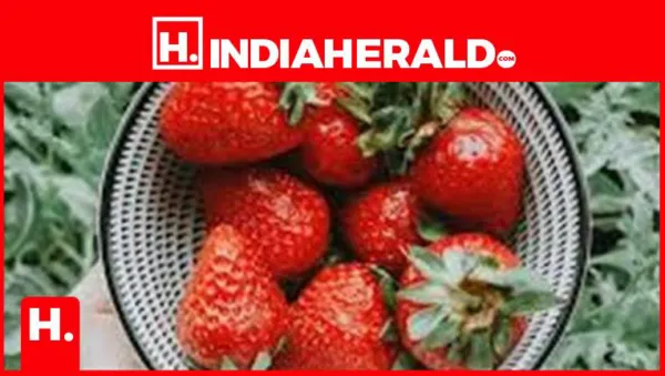 7 Strawberry Types You Need To Know About And Try