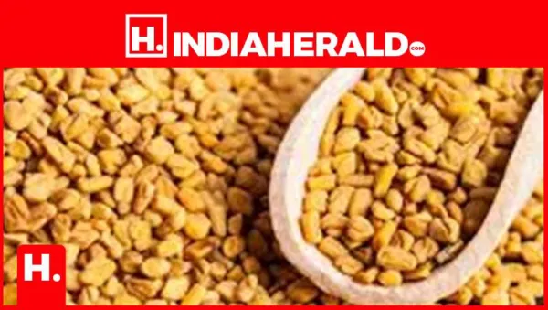 Methi Water for Hair Growth: Step-by-Step Guide