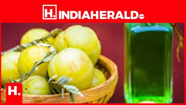 Homemade Amla Oil: A Natural Solution for Hair Loss