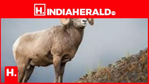 What is the personality of someone born on 11 April?