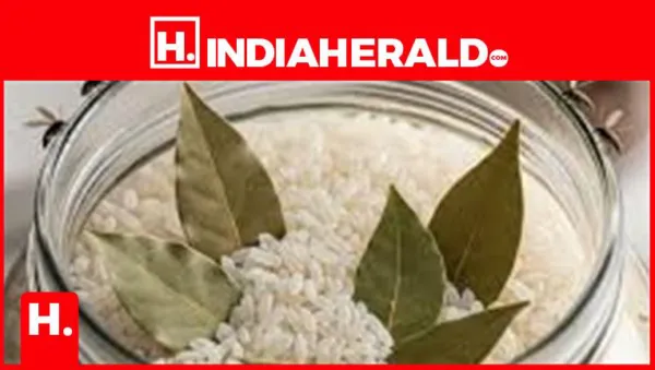 Rice Storage Tips: 8 Easy Kitchen Hacks to Keep Rice Fresh, Dry, and Worm-Free