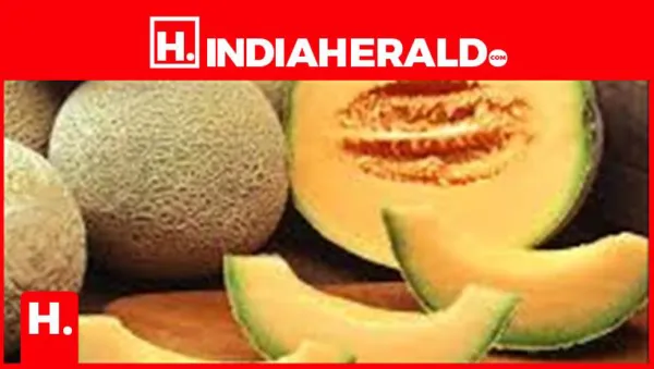 Can People With Diabetes Eat Muskmelon? What Research Tells Us