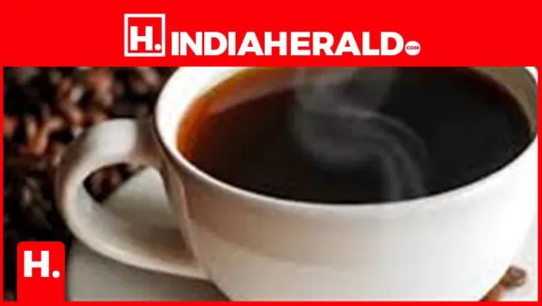 Liver Health: Drink This Coffee Daily to Support Detox and Fat Loss