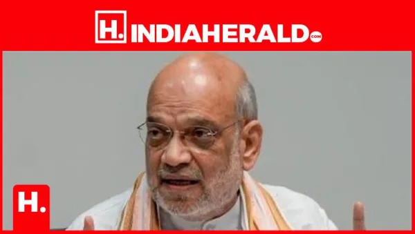 Salary Pays Bills, Assets Build Wealth - What Amit Shah's Stock Portfolio Reveals