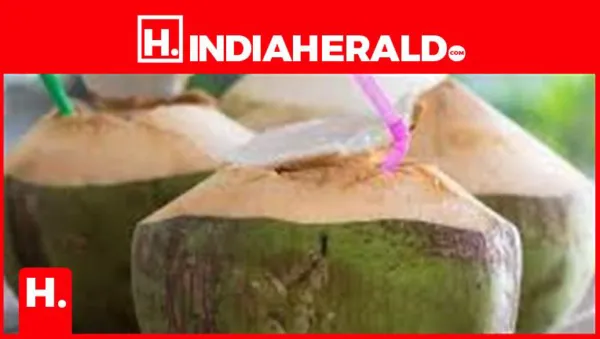 Can You Drink Tender Coconut Water at Night?