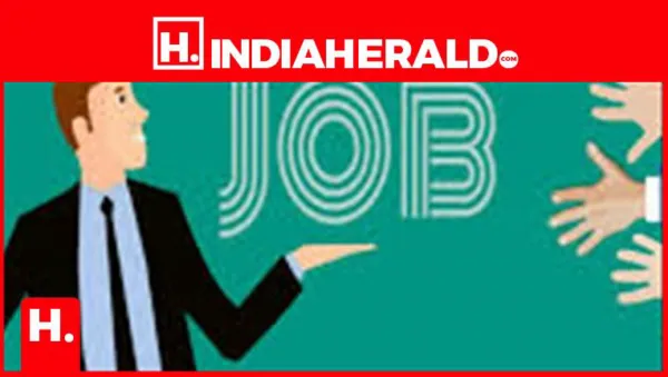No Need to Wander Around Searching for a Job Anymore! You Will Find All the Opportunities in One Place
