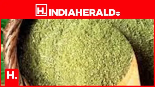 Moringa + Amla: The Morning Duo for Glowing Skin and Healthy Hair