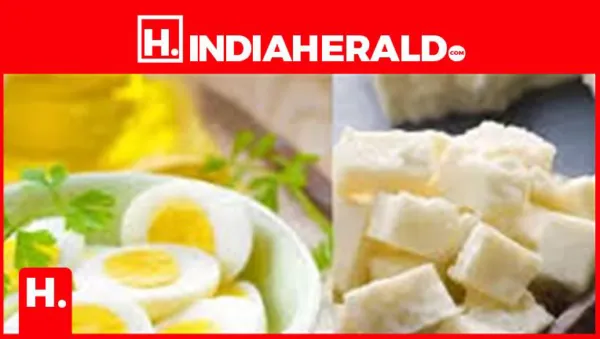 Egg vs Paneer: Which High-Protein Breakfast Wins?