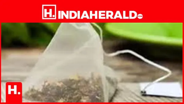 "Think Twice Before Throwing Away The Used Green Tea Bags: Smart Ways To Reuse Them":