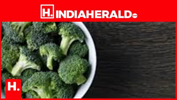 Blood Sugar Control Diet: Why Broccoli Is a Smart Choice for People Managing Diabetes