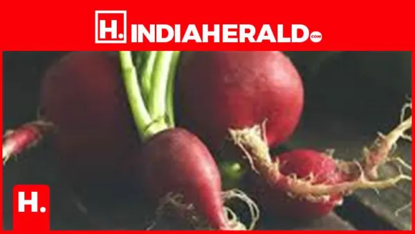 Foods You Should Never Pair With Radish, According to AyurvedaFoods You Should Never Pair With Radish, According to Ayurveda
