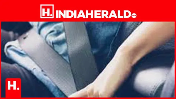 Challan Update: Didn't Wear a Seatbelt While Driving? Here's How Much Your Fine Could Be