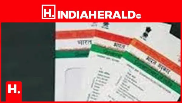 Aadhaar Card: How to Determine Whether an Aadhaar Card Is Genuine
