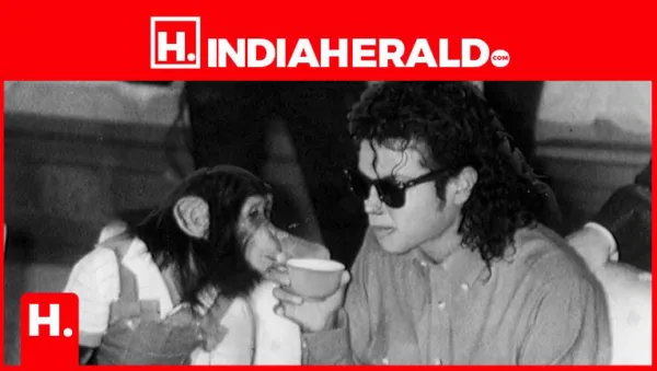 The Truth About Bubbles: Michael Jackson's Chimp Isn't Where You Think - The Untold Story of Bubbles Will Shock You