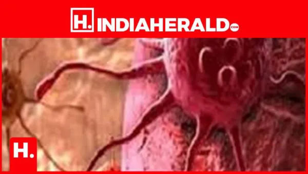 "Understanding Different Types of Chest Pain: When to Seek Help."