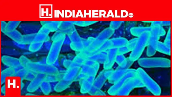 What Is Bioavailability? Explain