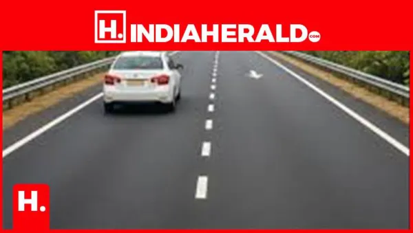 What Do Road Lines Mean? A Simple Guide for Everyday Drivers