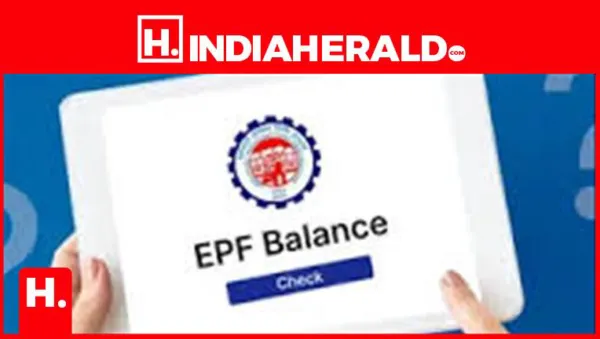 EPFO: Check Your PF Balance Using This Government App - Here Is the Complete Guide