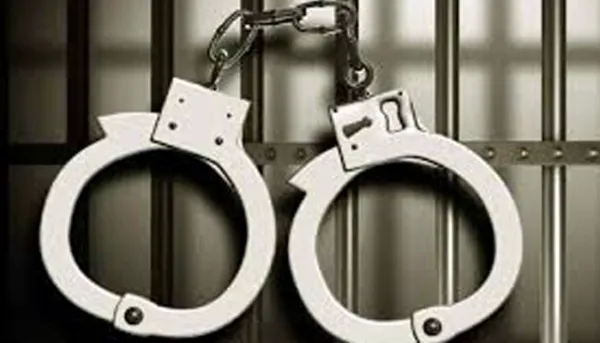 સાસણની હોટેલોમાં એસઓજીનું કોમ્બિંગ બે હોટલના મેનેજર નશો કરેલા ઝડપાયા