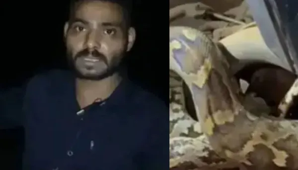 സ്കൂട്ടറിനുള്ളില് കയറി കൂടിയത് ഉഗ്രൻ പെരുമ്പാമ്പ്; ചുരം റോഡില് യുവാവ് കുടുങ്ങി കിടന്നത് മൂന്നര മണിക്കൂര്; രക്ഷപ്പെട്ടത് ഭാഗ്യം കൊണ്ട്