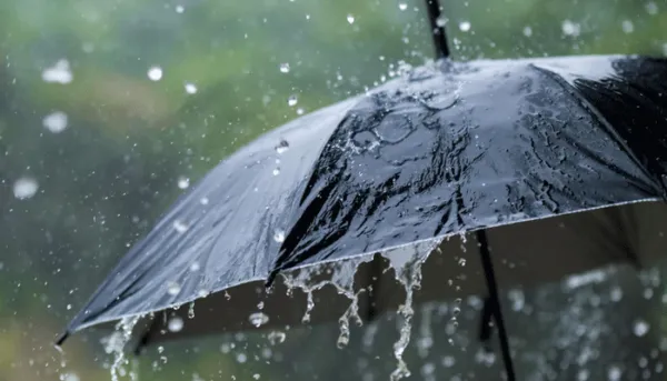 സംസ്ഥാനത്ത് മഴ മുന്നറിയിപ്പില് മാറ്റം; ഇന്ന് 10 ജില്ലകളില് യെല്ലോ അലര്ട്, നാളെ നാലിടത്ത് യെല്ലോ അലര്ട്